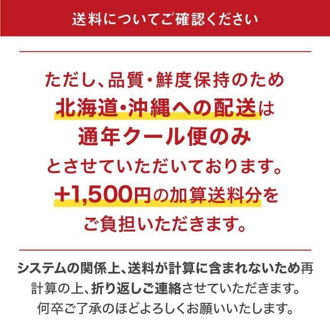 (11月下旬頃より発送) 2023 御歳暮 愛媛県産 温州みかん 真穴みかん 糖度12度以上 秀品 S〜Lサイズ 約3kg 贈答用 ギフト みかん 愛媛 フルーツ