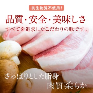 国産豚ロース（ブロック）1.2kg