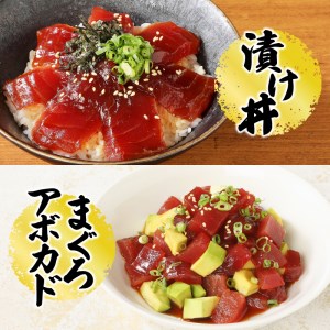 a10-430　焼津港水揚げ ・南まぐろ