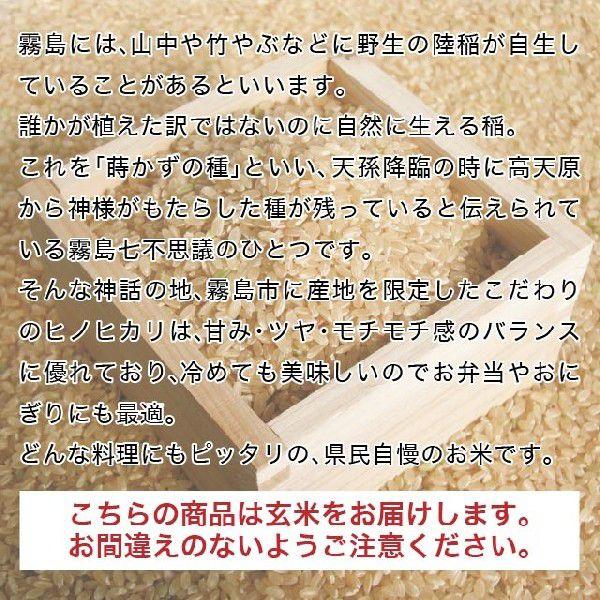 令和5年産 霧島米ヒノヒカリ 玄米 20kg(10kg×2袋)  送料無料（一部地域を除く）