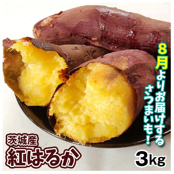 さつまいも 3kg 紅はるか 茨城産 送料無料 食品 国華園