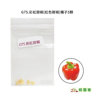 G75.彩紅甜椒(紅色甜椒)種子5顆果菜類種子【綠藝家】