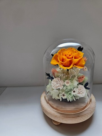 橙色永生玫瑰玻璃花禮 陽光青春 永生花禮 乾燥花禮