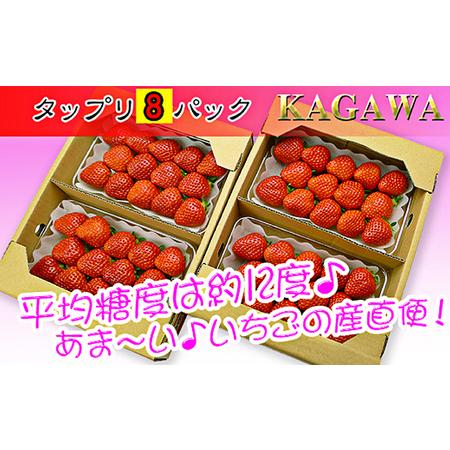 ふるさと納税 香川県のオリジナル品種 さぬき姫いちご8パック 香川県宇多津町