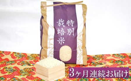 3ヶ月定期便 コシヒカリ 精米 4kg×3回