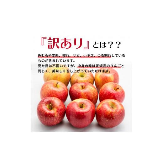 ふるさと納税 青森県 五所川原市  サンふじ青森 訳あり りんご 10kg 程度 五所川原 不揃い