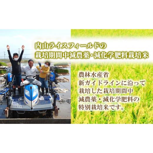 ふるさと納税 新潟県 新潟市 令和5年 栽培期間中減農薬・減化学肥料栽培米こしひかり5kg 無洗米 定期便6ヶ月