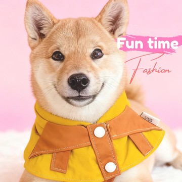 寵物功能性圍巾