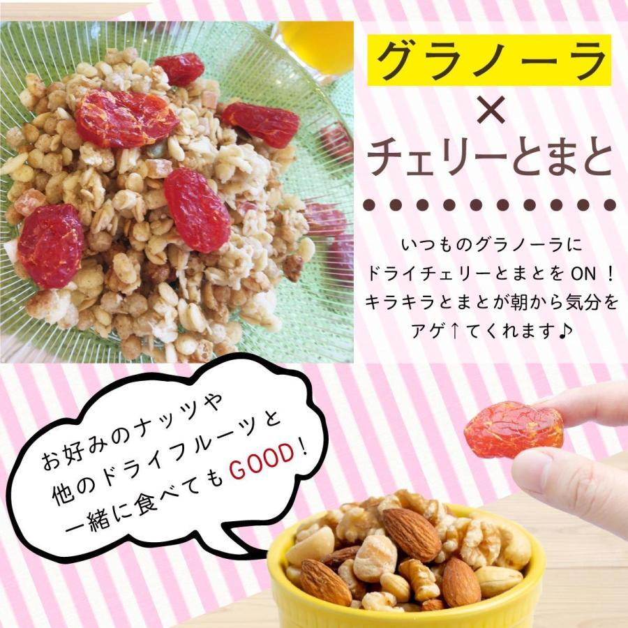 友口 魅惑のチェリーとまと  400g トマト フルーツ ドライフルーツ 乾燥 メール便 送料無料 チャック リコピン ドライトマト モグーグ