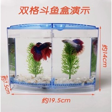 JiueseAqua迷你小魚缸水族箱鬥魚盒鬥魚缸辦公室養魚小型熱帶魚缸現貨含沙和造景  二格