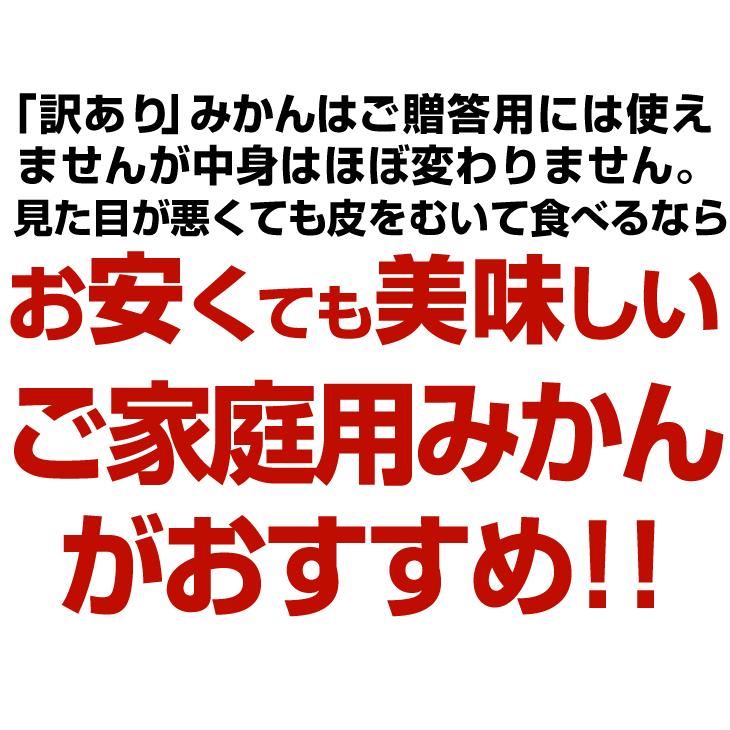 みかん 熊本みかん（1.5kg）ご家庭用 熊本産 送料無料 2セット目から増量 S〜2L 増量特典 ポイント消化 蜜柑 果物 国華園