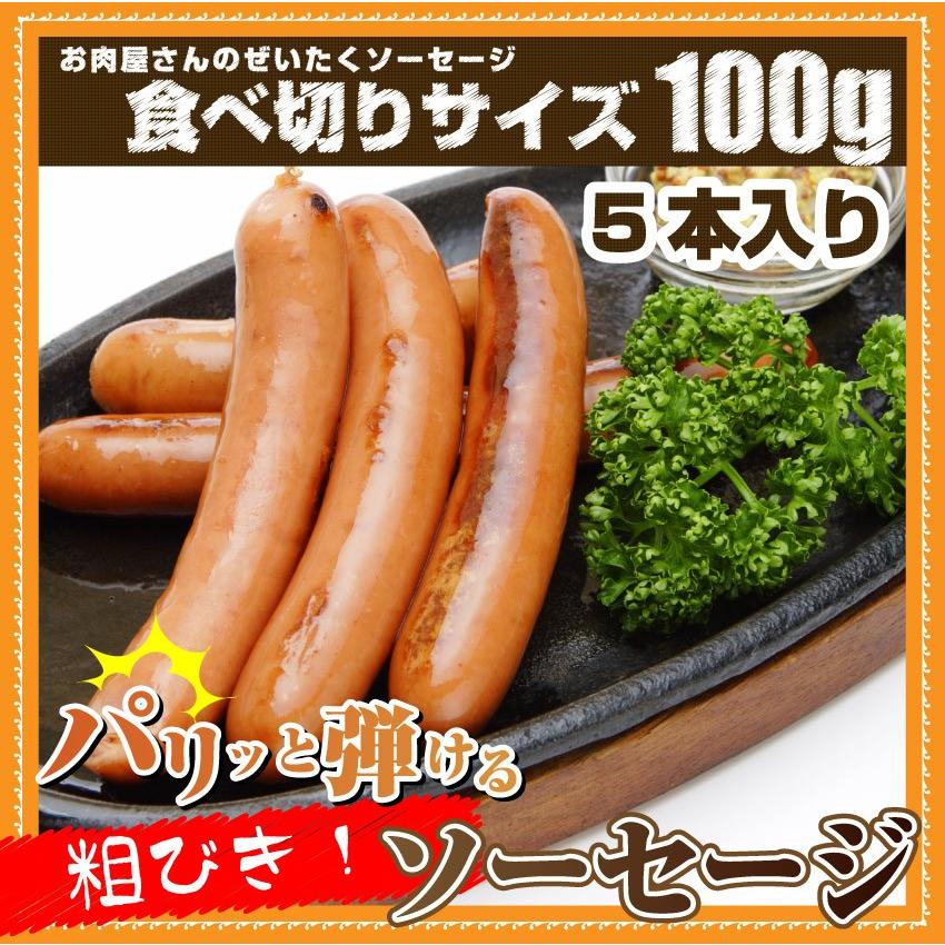 ソーセージ ウインナー 100ｇ 惣菜 ジューシー 粗挽き 粗びき あらびき ポーク 豚 バーベキュー 焼肉 焼くだけ 弁当＊当日発送対象