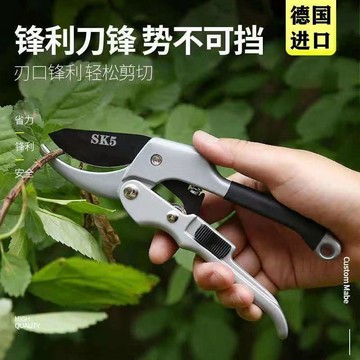 🧲臺灣出貨🛒優選新品🧲剪刀樹枝修剪德國進口SK5鋼修枝剪果樹剪刀園藝園林粗枝剪省力剪
