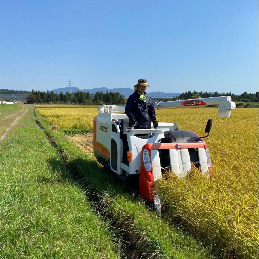 新米 青森県産 まっしぐら 精米5kg 令和5年産 古代米お試し袋付き