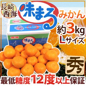 長崎 西海 ”味まるみかん” 秀品 Lサイズ 約3kg 最低糖度12度保証 送料無料