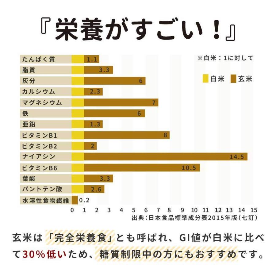 100%有機原料 玄米レトルトパックご飯 160g×5個 送料無料 おにぎり お弁当 TSG