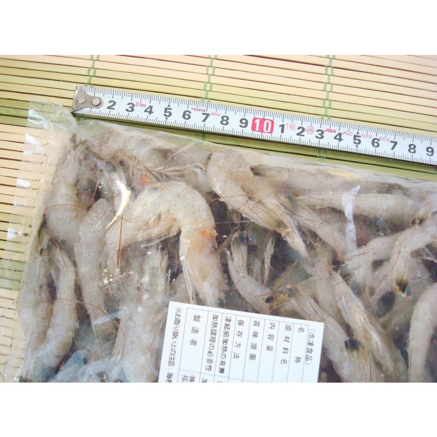 芝えび（熊本県産150尾前後）1ｋｇ 芝エビ エビ えび 海老