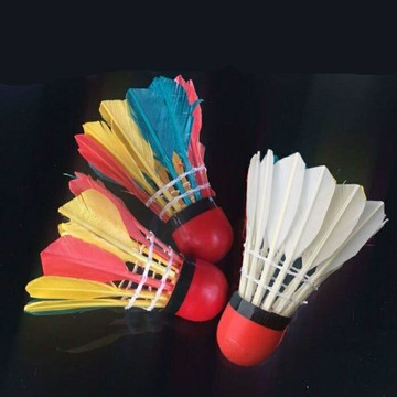 抗大風室外羽毛球彩色橡膠皮頭羽毛球耐打重球五彩鵝毛加粗10只。