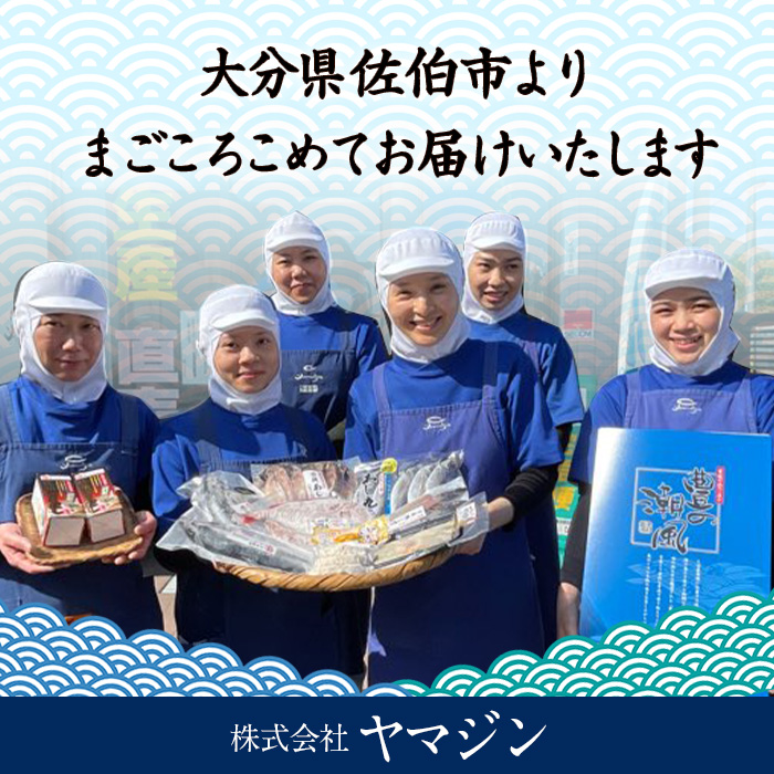 天日塩 (甘塩)仕立てセット (合計60尾以上・7種) 干物 あじ アジ 鯵 かます カマス ししゃも シシャモ いわし イワシ 丸干し 開き 魚 海鮮 冷凍 詰め合わせ セット 大分県 佐伯市