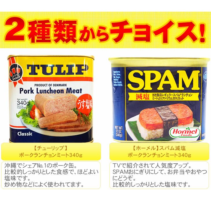 選べるポークランチョンミート 6個セット　 チューリップ スパムSPAM（レターパックプラス送料無料）