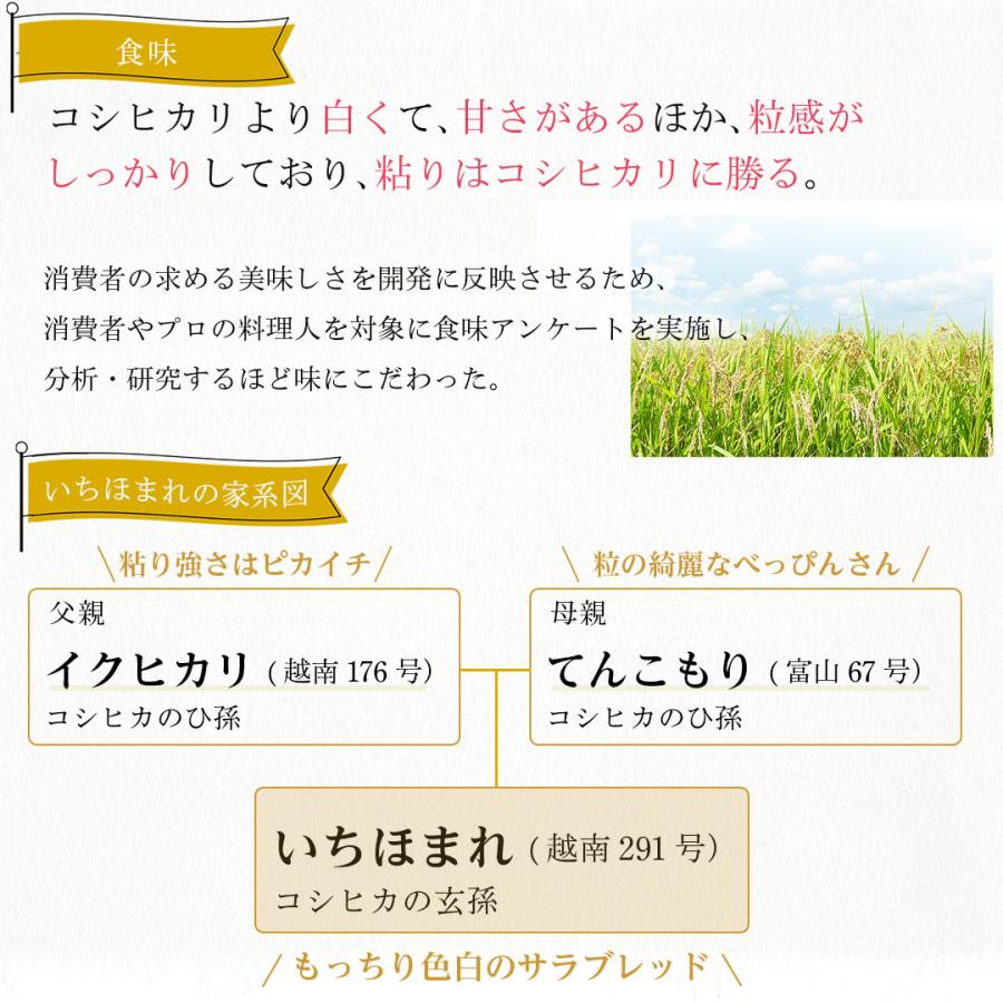 米 お米 米30kg 白米 送料無料 いちほまれ 福井県産 安い 米 30kg こめ30kg 米30キロ お米30キロ お米30kg 精米 単一原料米 令和5年産 新米 美味しい 高級