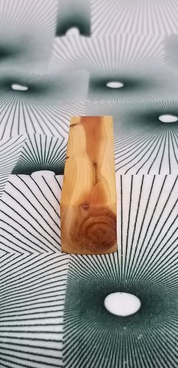 台灣龍柏5分印章 1.5*1.5*8cm~E9