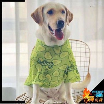 【台灣出貨】寵物衣服 大狗衣服 大型犬狗狗衣服 薄款 拉布拉多 金毛夏衣服 狗狗網眼透氣衣服