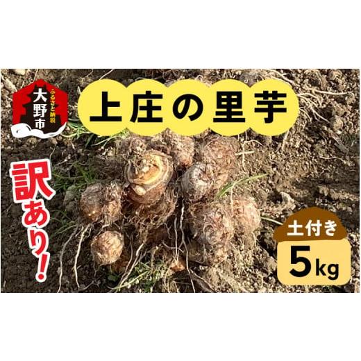 ふるさと納税 福井県 大野市 訳あり！上庄の里芋　5kg