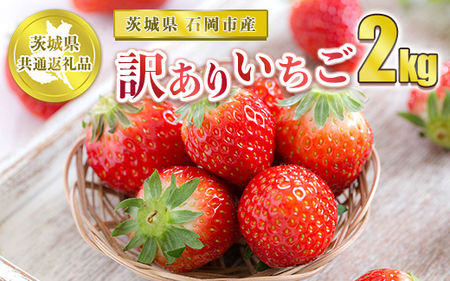 訳ありいちご 2kg ※2023年12月上旬～2024年4月下旬頃に順次発送予定