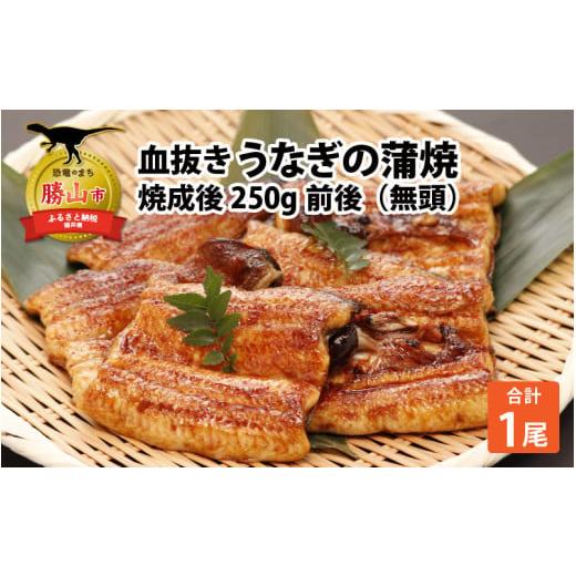 ふるさと納税 福井県 勝山市 血抜きうなぎの蒲焼（無頭） 焼成後250g前後×1尾 国産 [A-044002]