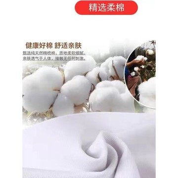 外貿大牌出口女裝POLO領100%純棉t恤百搭減齡體恤短袖大碼上衣潮