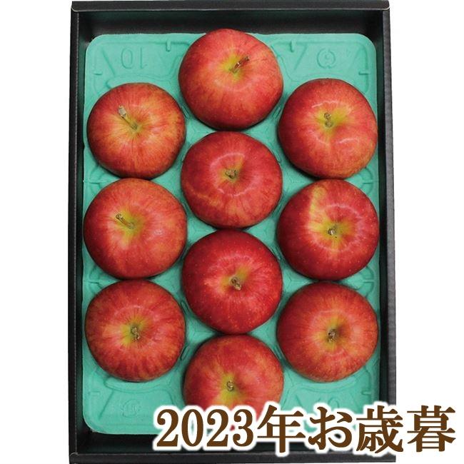 お歳暮ギフト2023年『信州サンふじりんご 約3kg(約10玉)』(代引不可)