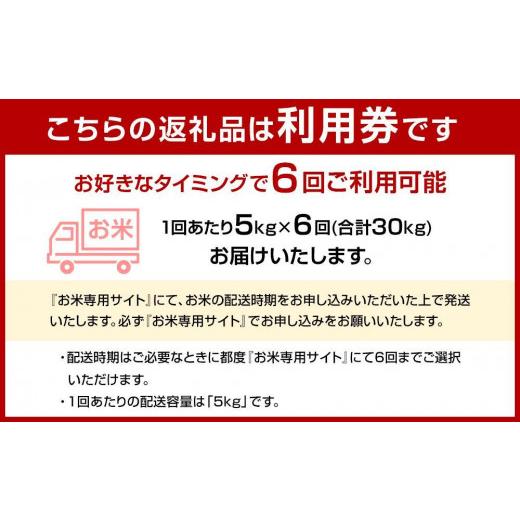 ふるさと納税 福岡県 大川市 ふるさと納税 らくらくお米便　30kgコース