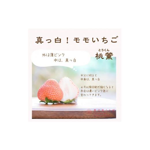 ふるさと納税 新潟県 上越市 ギフト箱入り　雪国完熟いちご越後姫桃薫　食べ比べセット ダブル（約760g）