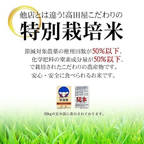 新米 玄米 令和5年産 新潟県産 こしいぶき 25kg 安心安全な特別栽培米 2等米 ＜玄米＞