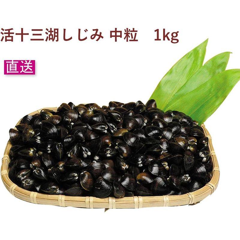 トーサム 活十三湖しじみ 中粒 1kg