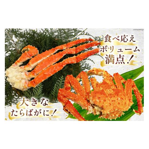 ふるさと納税 長崎県 島原市  お手軽！たらばがに 800g（シュリンクパック・化粧箱入） 