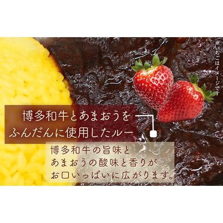 ふるさと納税 博多和牛１００％使用！！あまおうがほのかに香る牛すじゴロっとカレー（１７０ｇ×５袋） あまおう 博多和牛 .. 福岡県田川市