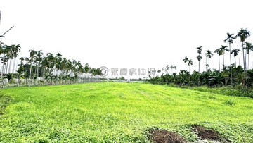 省22里港鄉茄苳腳段九如嶺口雙交流道美美農地｜屏東縣里港鄉茄苳腳段