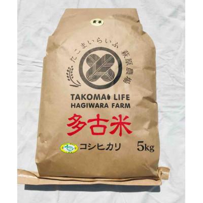 ふるさと納税 多古町 新米!たこまいらいふ萩原農場の多古米コシヒカリ(玄米)5kg