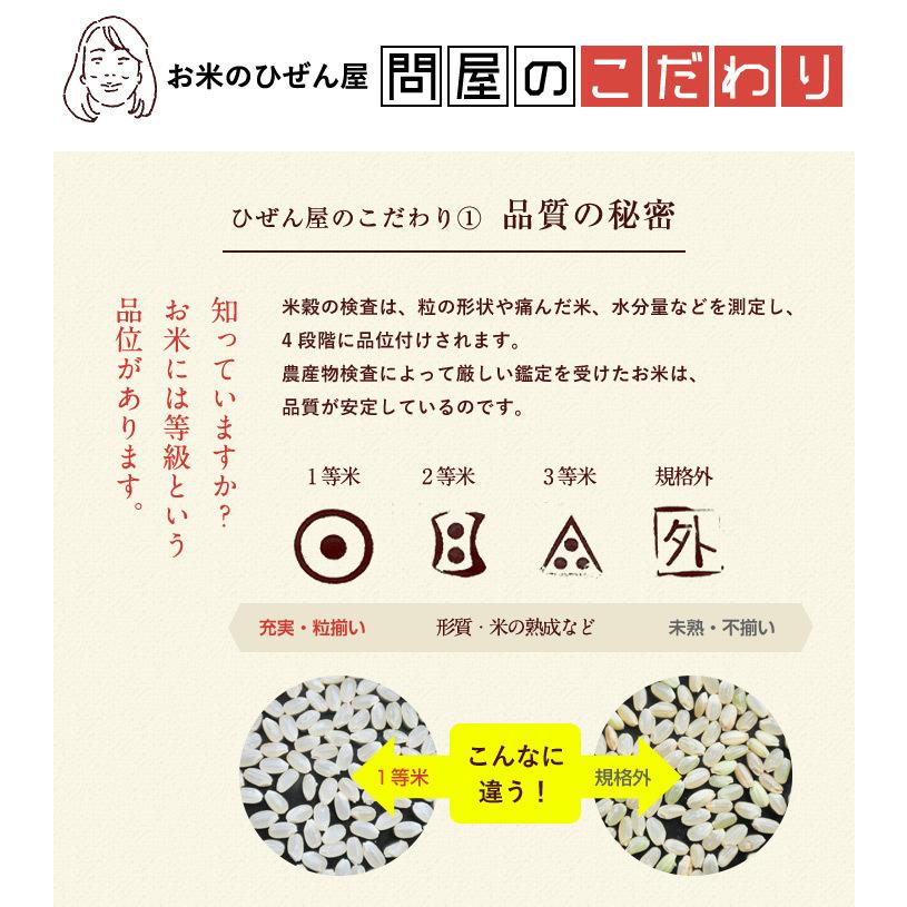 新米　米 お米 5kg 送料無料★夢しずく 無洗米★ 佐賀県産　5年度 5kg