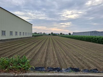 新吉交流道海寮637坪一般農地虎尾寮裕農S111｜台南市安定區海寮段