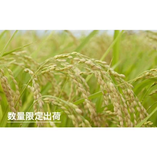 ふるさと納税 岩手県 矢巾町 岩手県矢巾町　令和5年産　「ひとめぼれ精米」2合×5袋