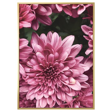 菠蘿選畫所 花卉畫作 天生麗質 BFFB3408G 畫框  40 x 30cm  金色