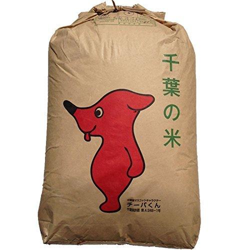 くるりのお米屋 新米 ふさこがね 玄米 選別済 30kg 令和5年産 千葉県産 10kg×3 Brown rice