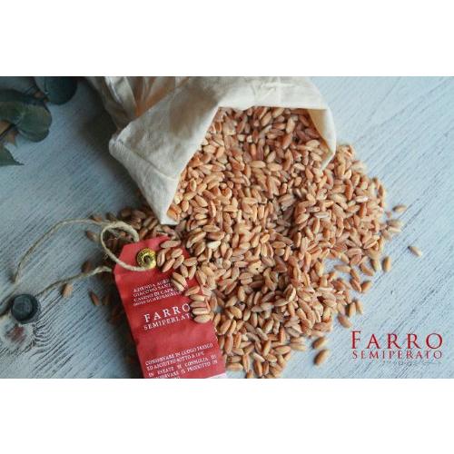 古代小麦 (スペルト小麦) ファッロ・セミペラート （Farro Semiperato）500g (ジャコモ・サントレーリ) Giacomo Sant