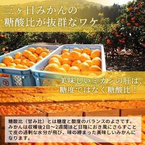 ふるさと納税 三ヶ日みかん 青島 7kg以上 静岡県浜松市