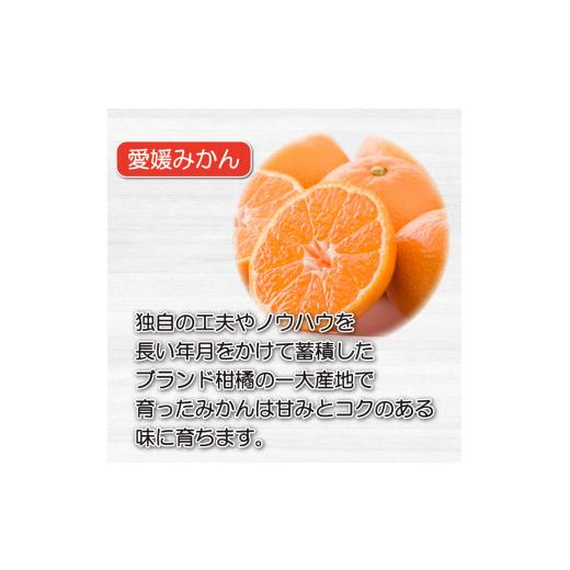 ふるさと納税 愛媛県 愛南町 全3回 愛ある柑橘3種定期便 Ａセット 愛媛みかん せとか 河内晩柑