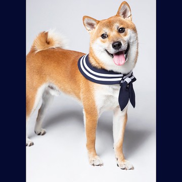 日式經典制服水手領 丨三種穿搭丨附蝴蝶結 & 水手結