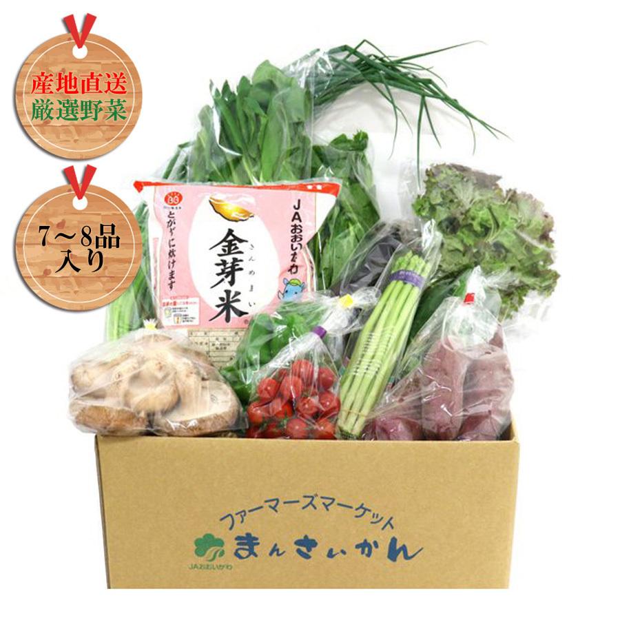 まんさいかん旬の野菜セットミニ＋金芽米2キロセット(送料・クール便代込)